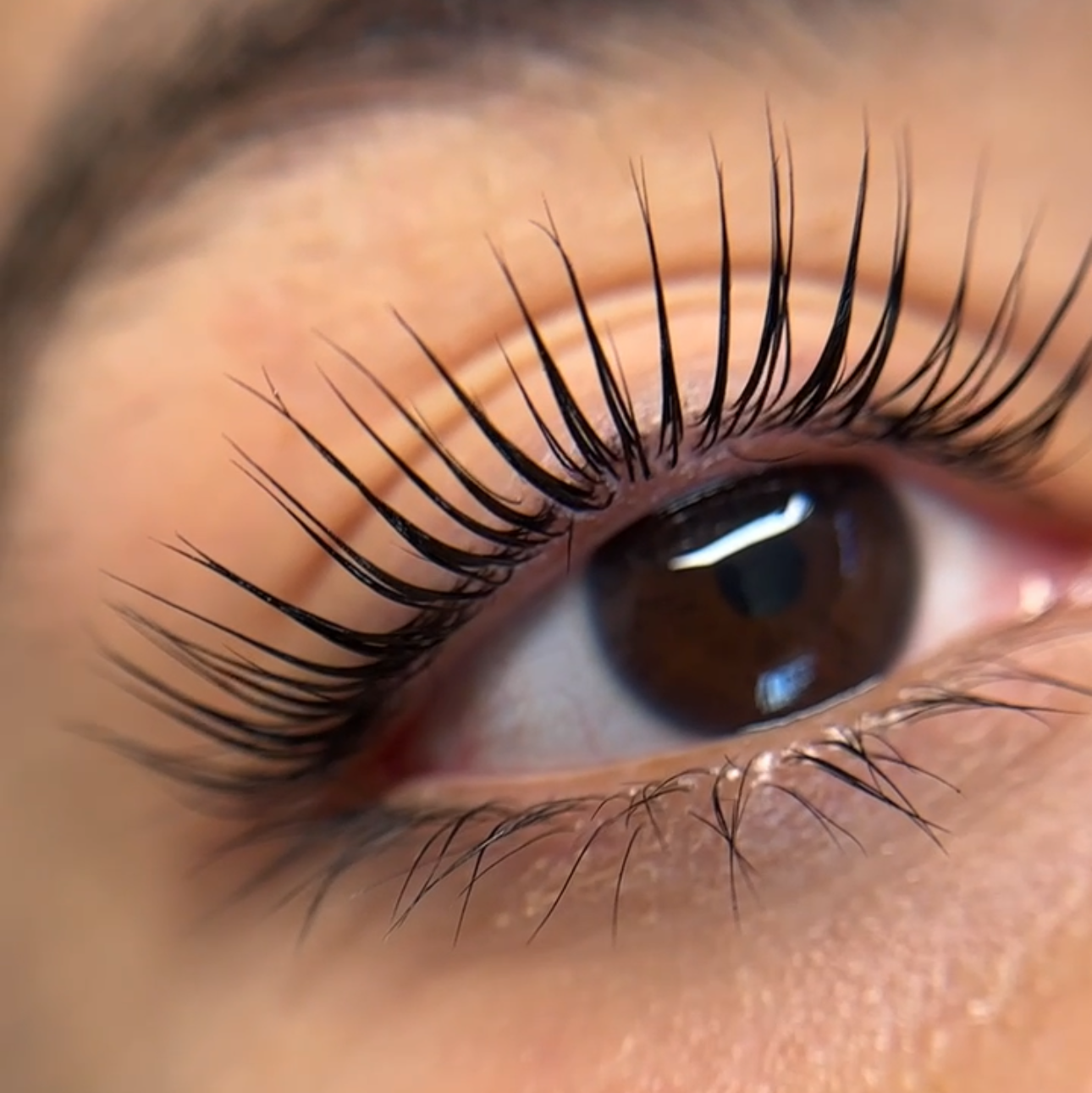 1:1 BROW & LASH LIFT PRIVATE 2 DAY CLASS