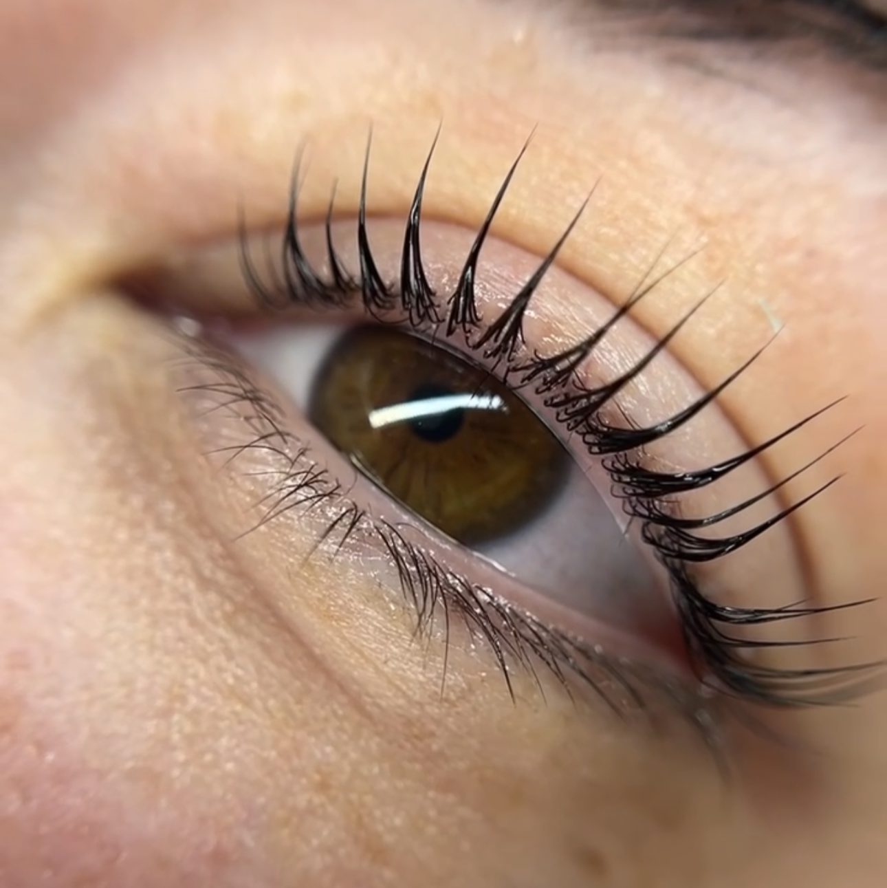 1:1 BROW & LASH LIFT PRIVATE 2 DAY CLASS